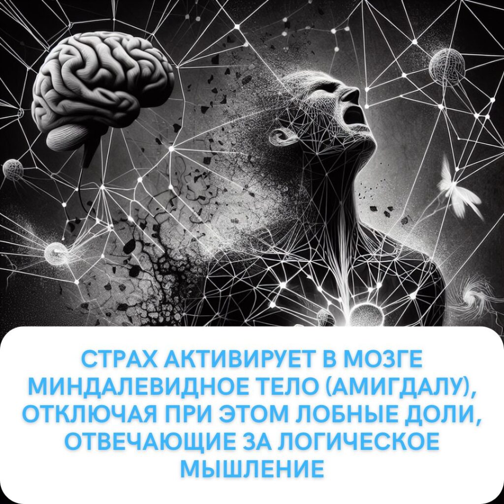 психосоматика страха 